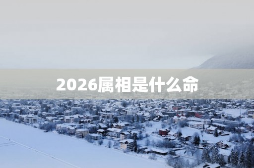 2026属相是什么命