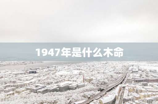 1947年是什么木命