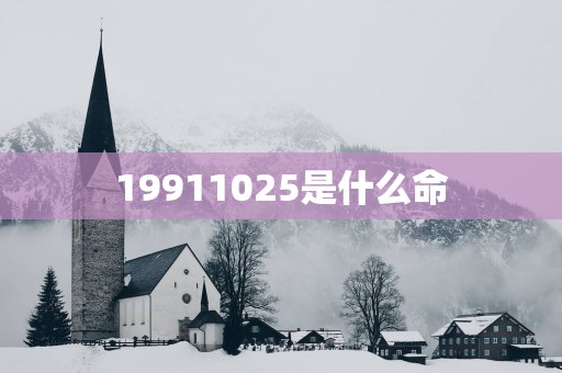 19911025是什么命