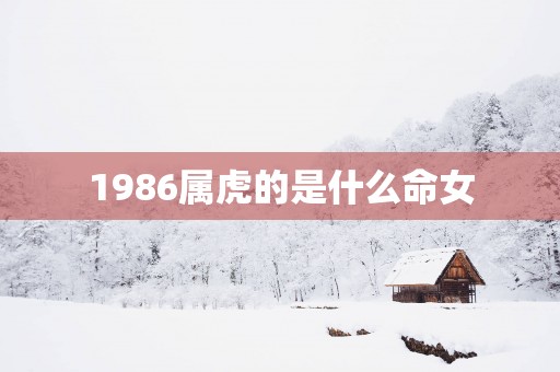 1986属虎的是什么命女