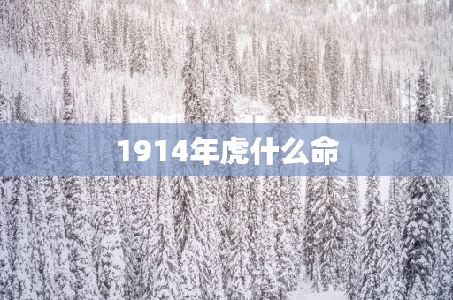 1914年虎什么命