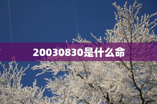 20030830是什么命