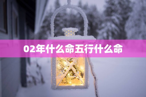 02年什么命五行什么命