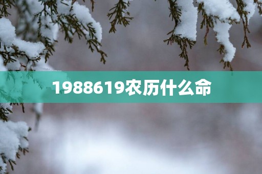 1988619农历什么命