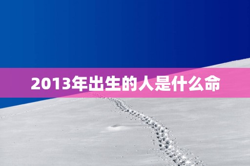 2013年出生的人是什么命