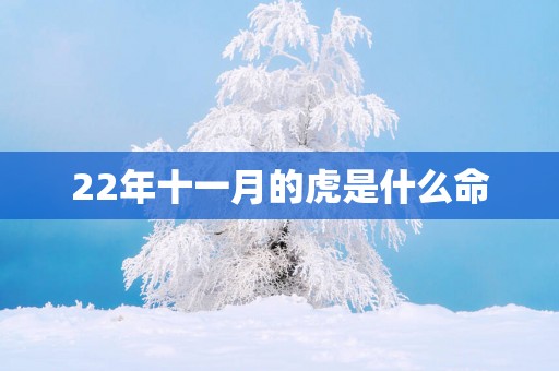 22年十一月的虎是什么命