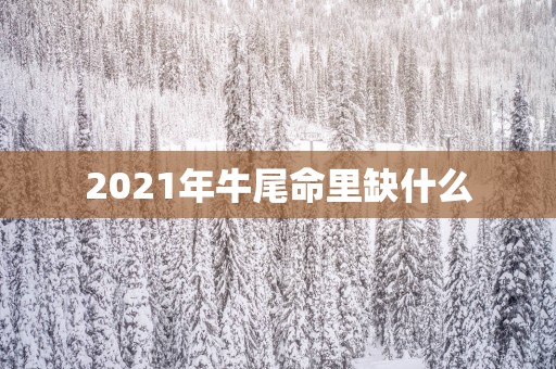 2025年牛尾命里缺什么