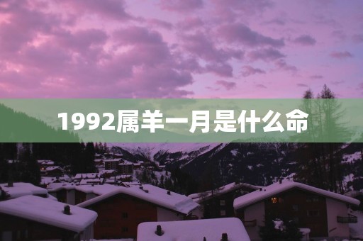1992属羊一月是什么命