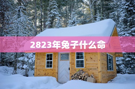2823年兔子什么命