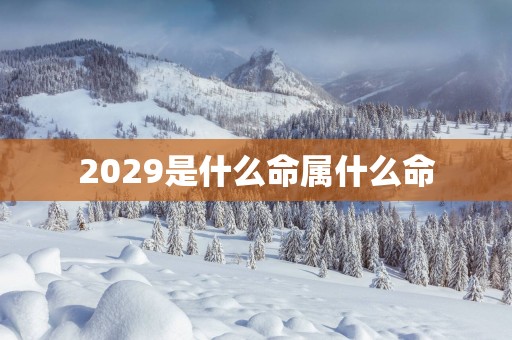 2029是什么命属什么命