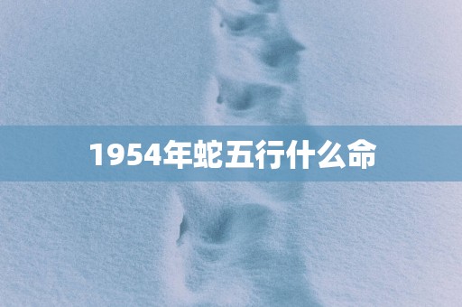 1954年蛇五行什么命