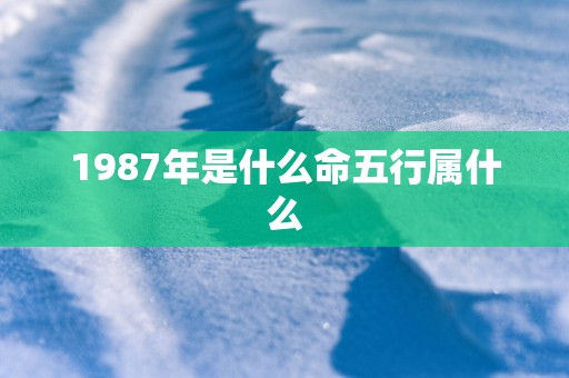 1987年是什么命五行属什么