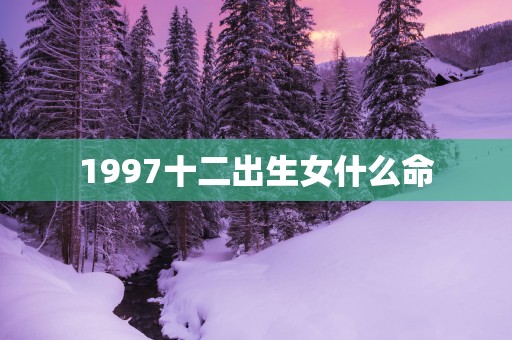 1997十二出生女什么命