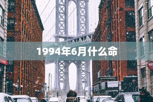 1994年6月什么命