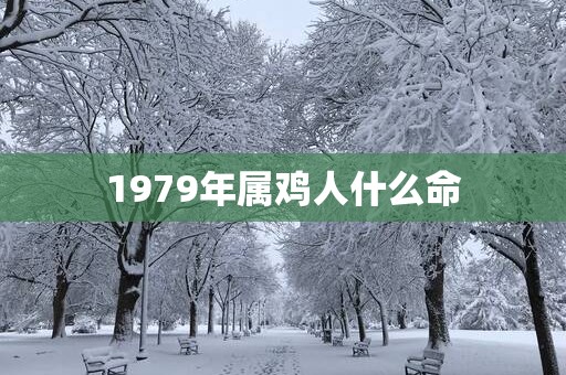 1979年属鸡人什么命