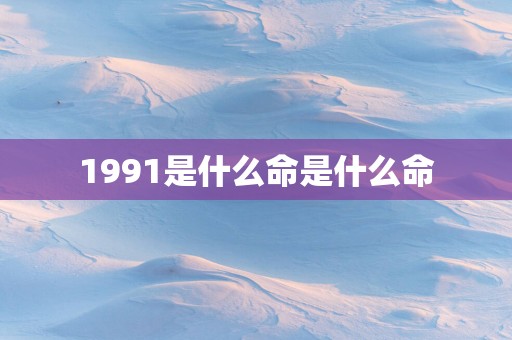 1991是什么命是什么命