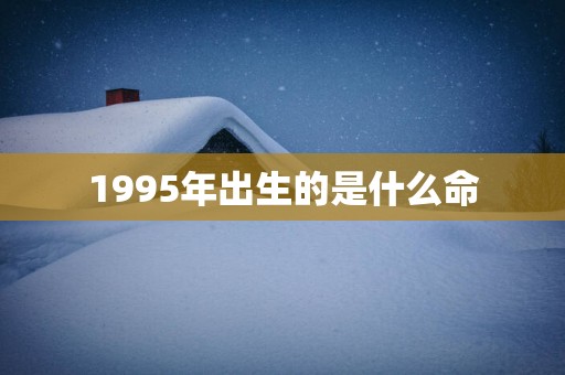 1995年出生的是什么命