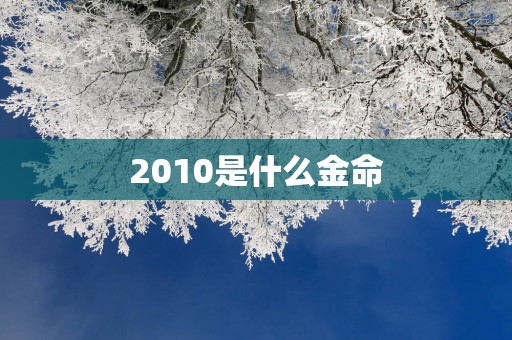 2010是什么金命