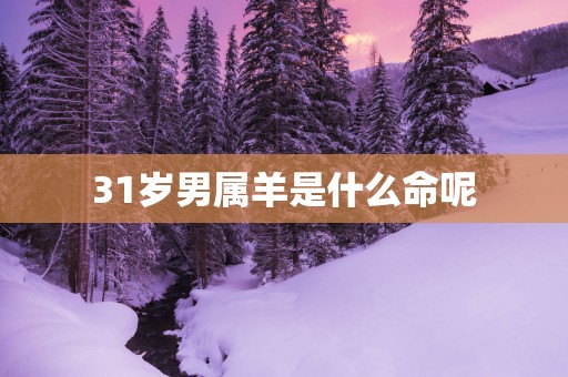 31岁男属羊是什么命呢