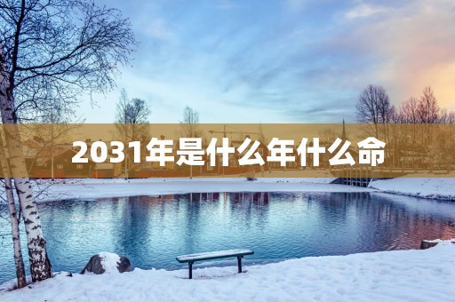 2031年是什么年什么命