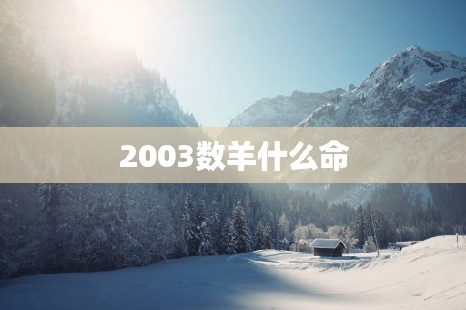2003数羊什么命