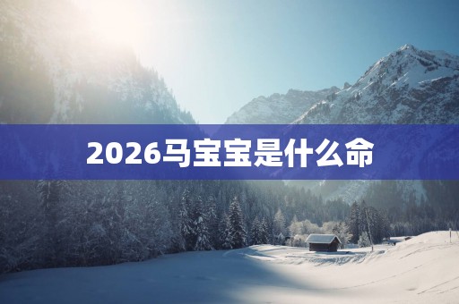2026马宝宝是什么命