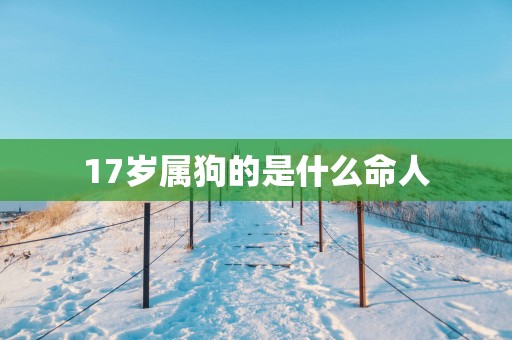 17岁属狗的是什么命人