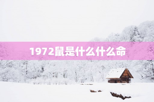 1972鼠是什么什么命