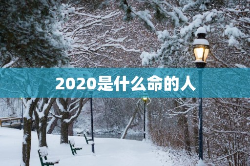 2025是什么命的人