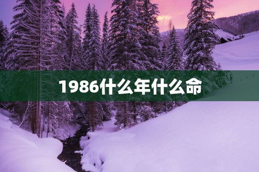 1986什么年什么命