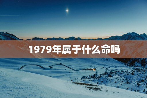 1979年属于什么命吗
