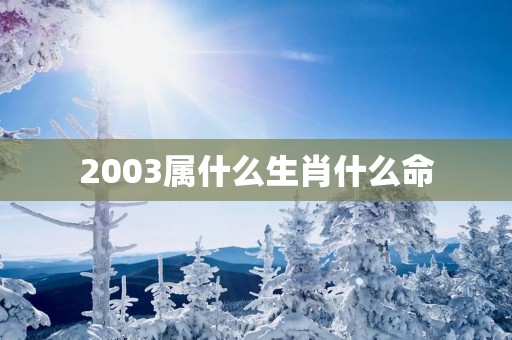 2003属什么生肖什么命