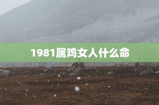 1981属鸡女人什么命