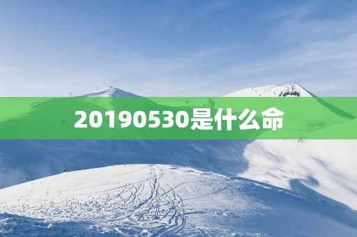 20190530是什么命