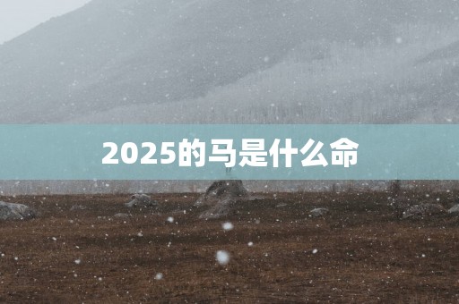2025的马是什么命