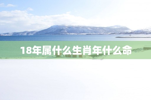 18年属什么生肖年什么命