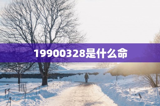 19900328是什么命
