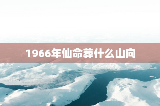 1966年仙命葬什么山向