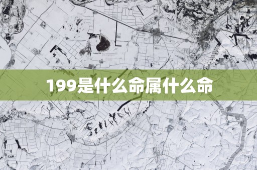 199是什么命属什么命