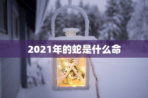 2025年的蛇是什么命