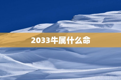 2033牛属什么命