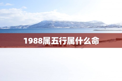 1988属五行属什么命