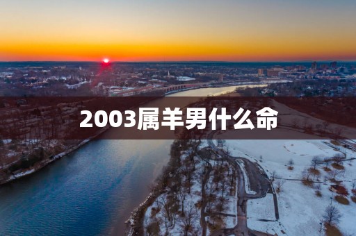 2003属羊男什么命