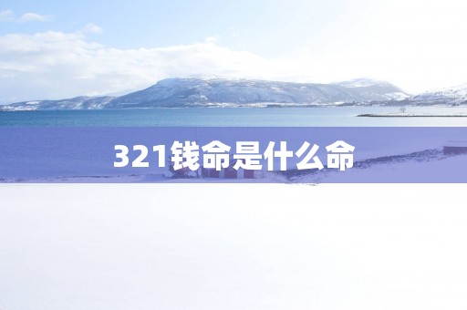 321钱命是什么命
