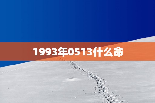 1993年0513什么命