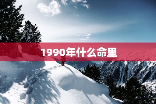 1990年什么命里