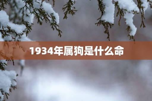 1934年属狗是什么命