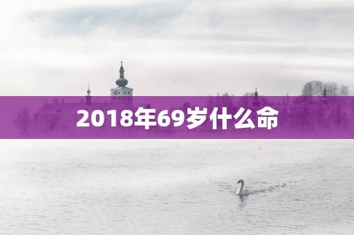 2018年69岁什么命