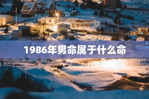 1986年男命属于什么命