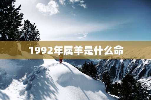 1992年属羊是什么命